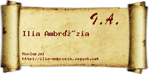 Ilia Ambrózia névjegykártya